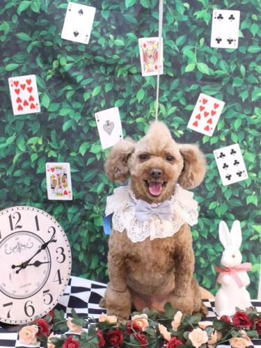 20250401くうくん